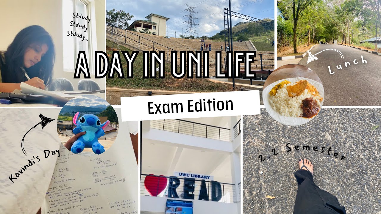 A Day in My Life at Uva Wellassa University| Campus එකේ දවසක්✨🤍🌳 #universitylife #dayvlog #minivlog 