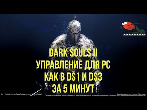 Видео: DARK SOULS II ЛУЧШАЯ НАСТРОЙКА УПРАВЛЕНИЯ ДЛЯ PC (КАК В DS1 и DS3)