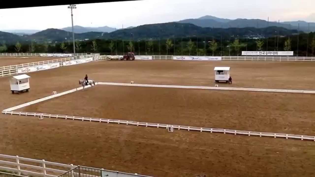 2014년 8월 농림부장관배 마장마술III클래스 4위 김도만 마명 우주 ...