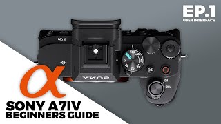 Mastering Your User Interface | Beginners Guide Ep.1