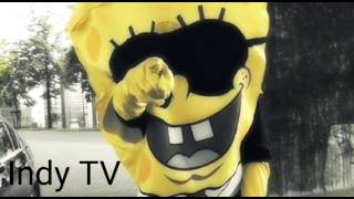 Kleinkrimineller-Spongebozz