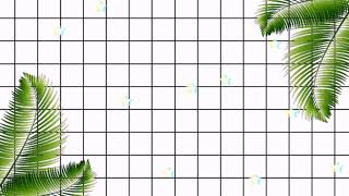 My Intro Floed Albesa