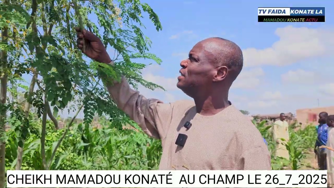 Faïda très important par Cheikh Mamadou Konaté au Champ 