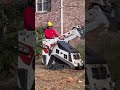 This is how we roll at Northside Tree Professionals 🌳💪 #atlanta #treeservice #treending #landscape