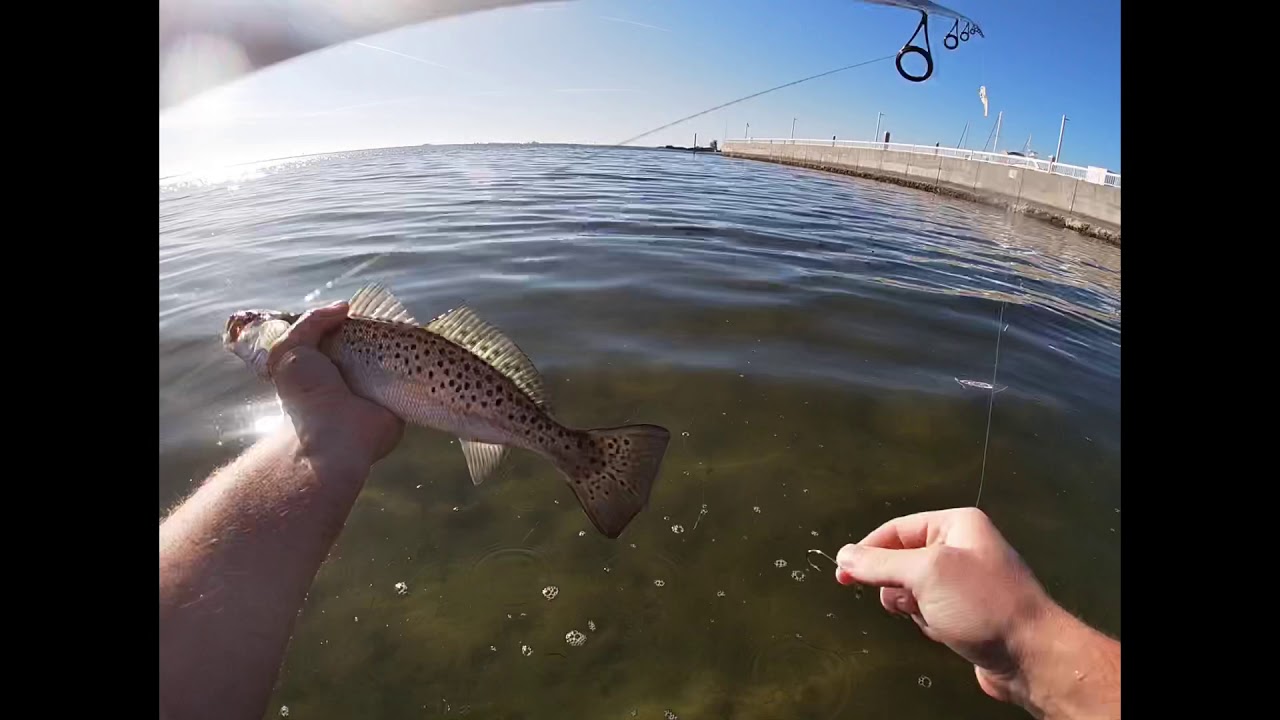 Flats fishing catching snook and speckled trout YouTube