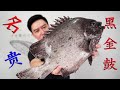 110一斤的名贵斑石鲷—黑金鼓，在蓝光之下似梦幻之鱼，香煎嘎嘣脆【小文哥吃吃吃】