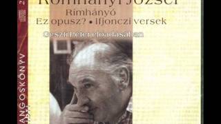 Romhányi József - Interjú a farkassal.... (Geszti Péter előadásában)