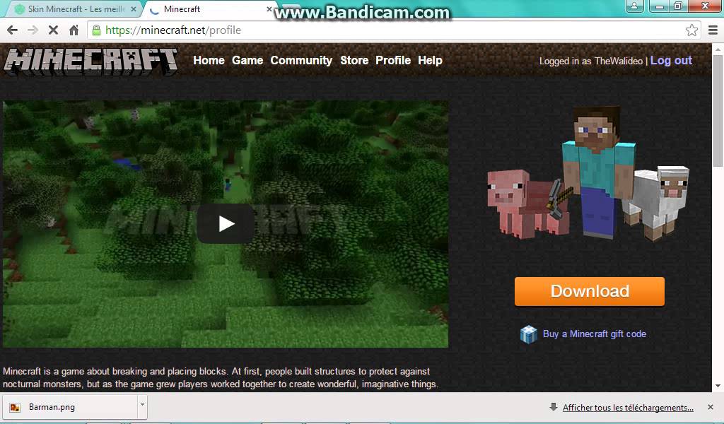 Minecraft net 15. Minecraft net 15