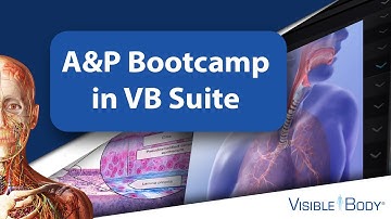A&P Bootcamp in Visible Body Suite