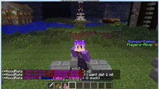 MineCraft Firecraft server