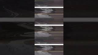 Oc Mmdred Flagshuman Centipedememe