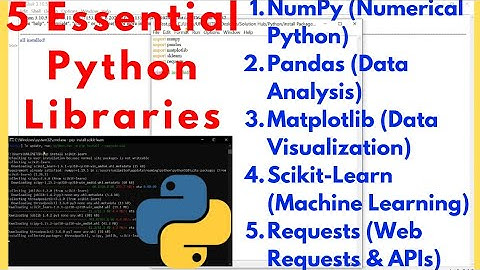 5 Essential Python Libraries Every Developer Should Know | How to Install Python Libraries 2025