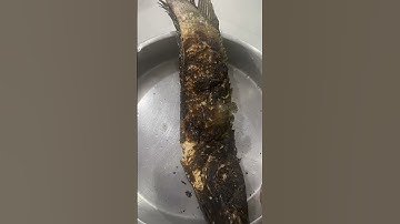 Đúng chuẩn cá lóc nướng than