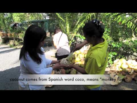 How to Open a Coconut Husk- Thai Style