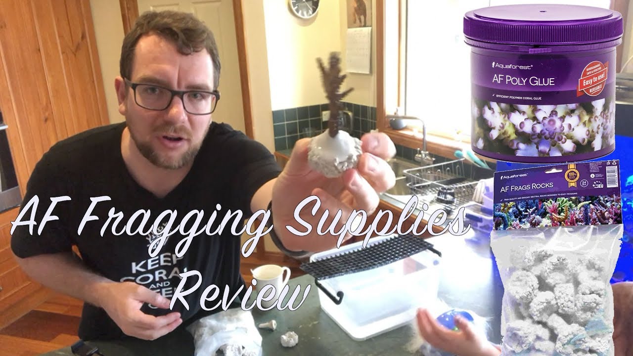 Aquaforest Frag Rocks and Poly Glue Review