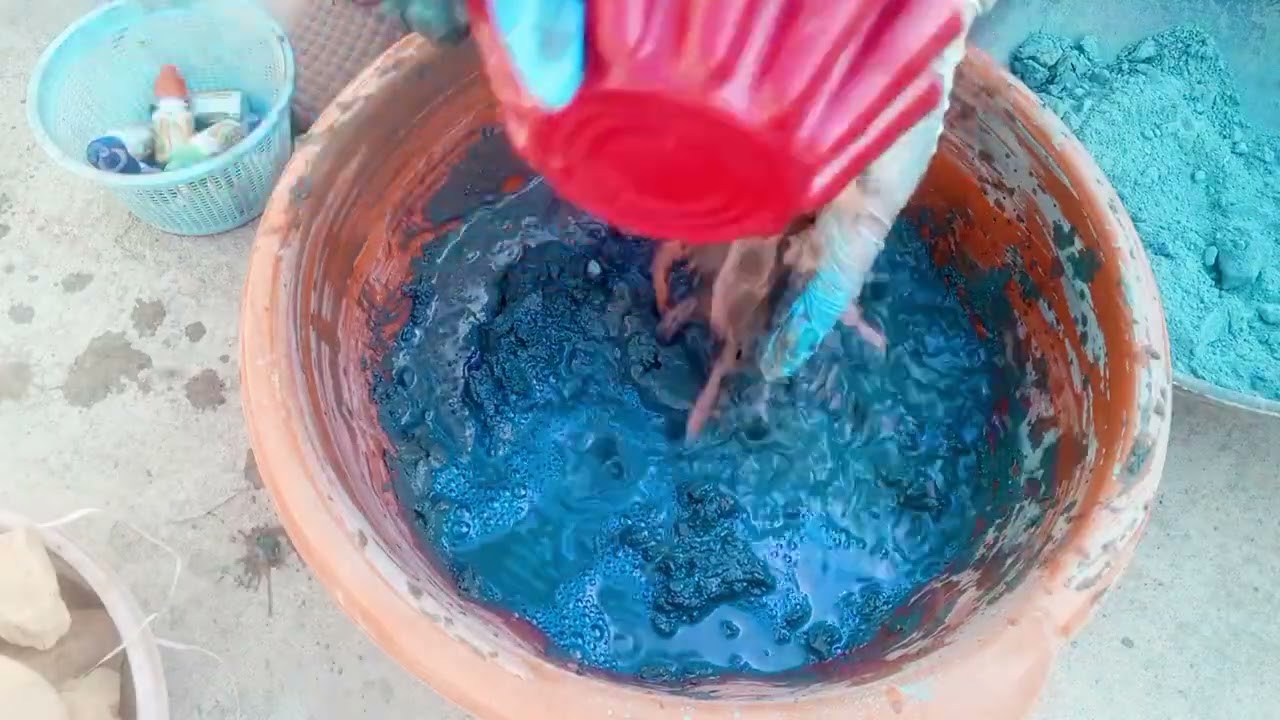 ASMR blue berry 🫐 Pure MudDirt my lovely ASMR @rmasmr5499 🎂🎂Happy wedding anniversary 🎂