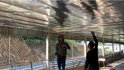 Nóng/nóng quá ! Trần bạt cách nhiệt để đảm bảo trang trại và công xưởng luôn mát lạnh !