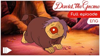 David the Gnome (English) - 11 - The Magic Scalpel | Full Episode