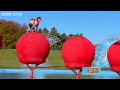 Total Wipeout Preview  - Big Ball success! - Series 2 Episode 8 - BBC One