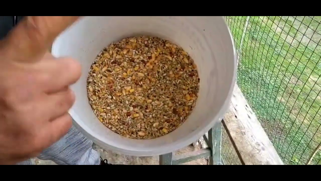 Mâncarea lotului de zbor 04-12-2025