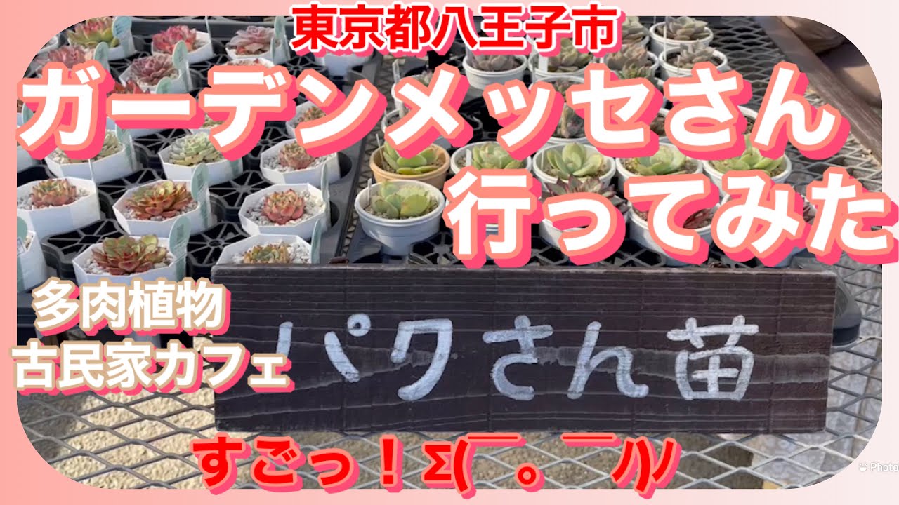 2 5 多肉植物 ガーデンメッセ ベランダ多肉 ベランダガーデニング 可愛い鉢を眺めながら Youtube