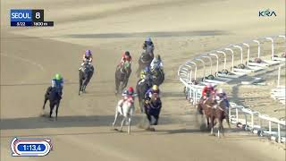 Vidéo de la course PMU RACE 8