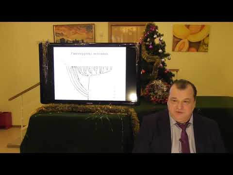 Группы крови - как пятая форма жизни Андрей Александрович Тюняев