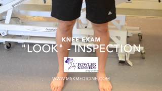 Knee Exam - 