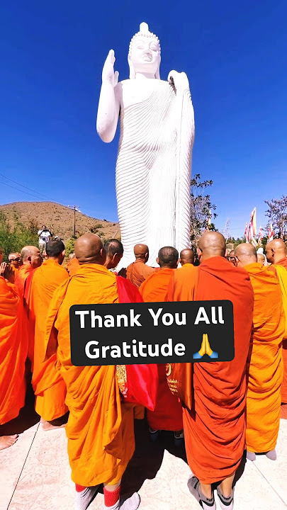 ඔබට ස්තුතිය Thank You All 🙏🇺🇸 #usa #srilanka #buddhistmeditation