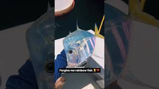 Celebrity I Accidentally Helped His Opps 😔 Net Worth