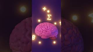 Who Invented Numbers? The Real Origin of 0–9 Explained