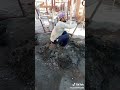 Mama Tchaw Mama Tchaw Mama Tchaw Mama Tchaw