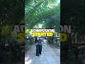 Admissions started