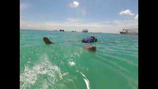 Redang snorkelling (with parents)(4)