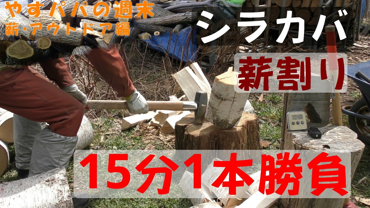 Birch firewood splitting: 15-minute, one-round challenge - YouTube