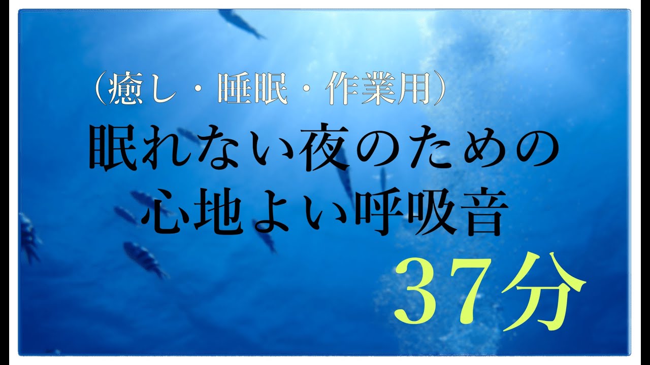 【ダイビング】眠れない夜のための心地よい呼吸音（癒し・睡眠・作業用）