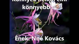 Video-Miniaturansicht von „Könnyek nélkül élni könnyebb“