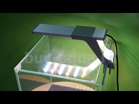 Video: Akvarium LED şeritləri: LED Işıqlandırmasını Necə Seçmək Olar? Suya Davamlı Diod Lenti Ilə DIY Işıqlandırmasını Necə Etmək Olar?