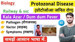 Kala Azar Disease In Hindi | Dum Dum Fever | Kala Azar Disease | Protozonal Disease