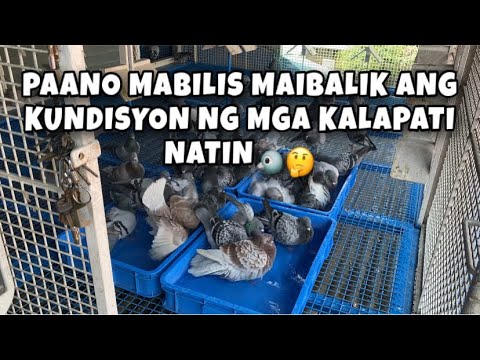 Video: Paano Maibalik Ang Pagiging Matanda