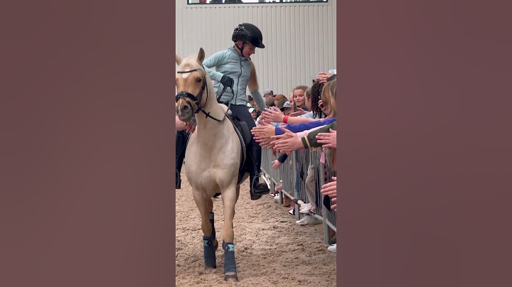 High 5 time ❤️ Harlow and Popcorn at the end of their demo yesterday 🫶🏼