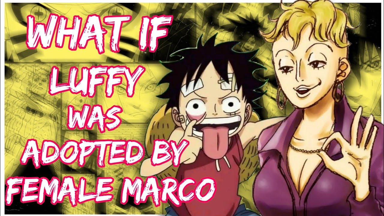 What if Luffy was Adopted by Fem Marco | Luffy's Mom | Movie