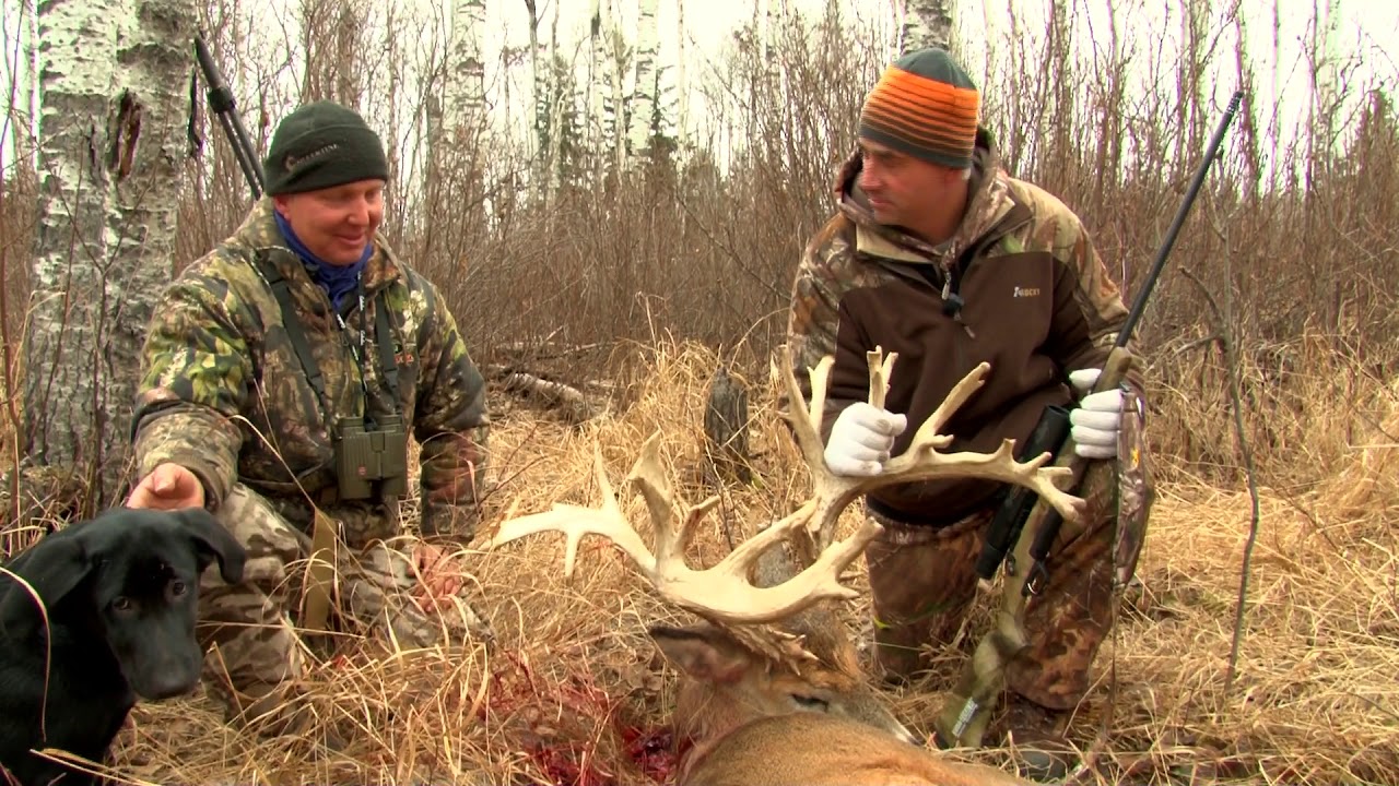 Giant Estate Saskatchewan Whitetail Hunting in November YouTube