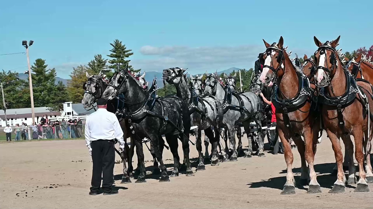 Fryeburg Fair's 2021 EightHorse Hitch Winners YouTube
