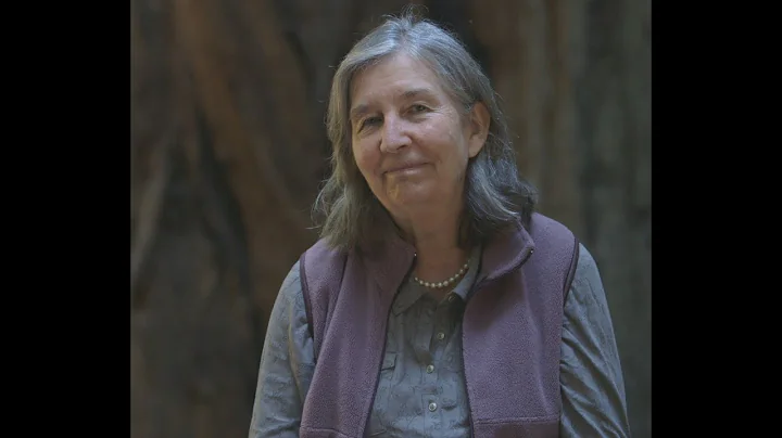 Diana Beresford Kroeger Wisdom of Trees