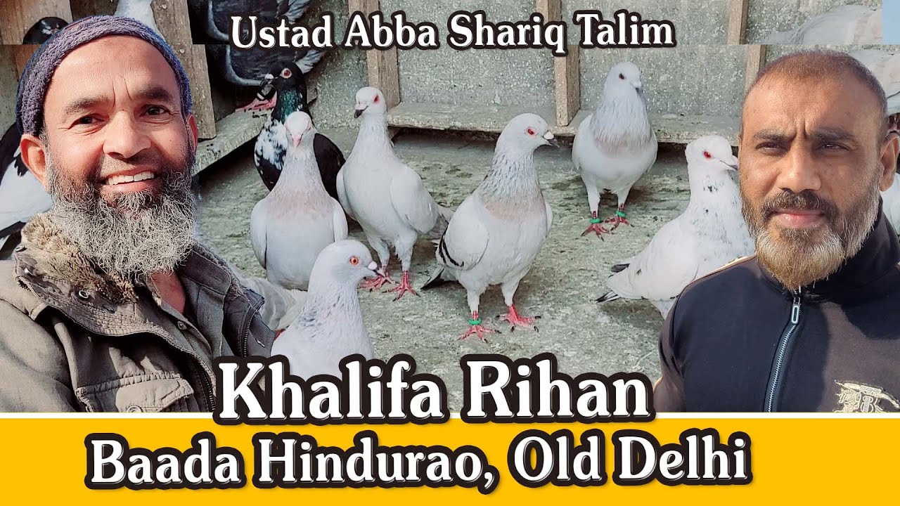 Ustad Abba Shariq K Khalifa Rihan Ka Lajwab Shok, Baada Hindurao, Old Delhi
