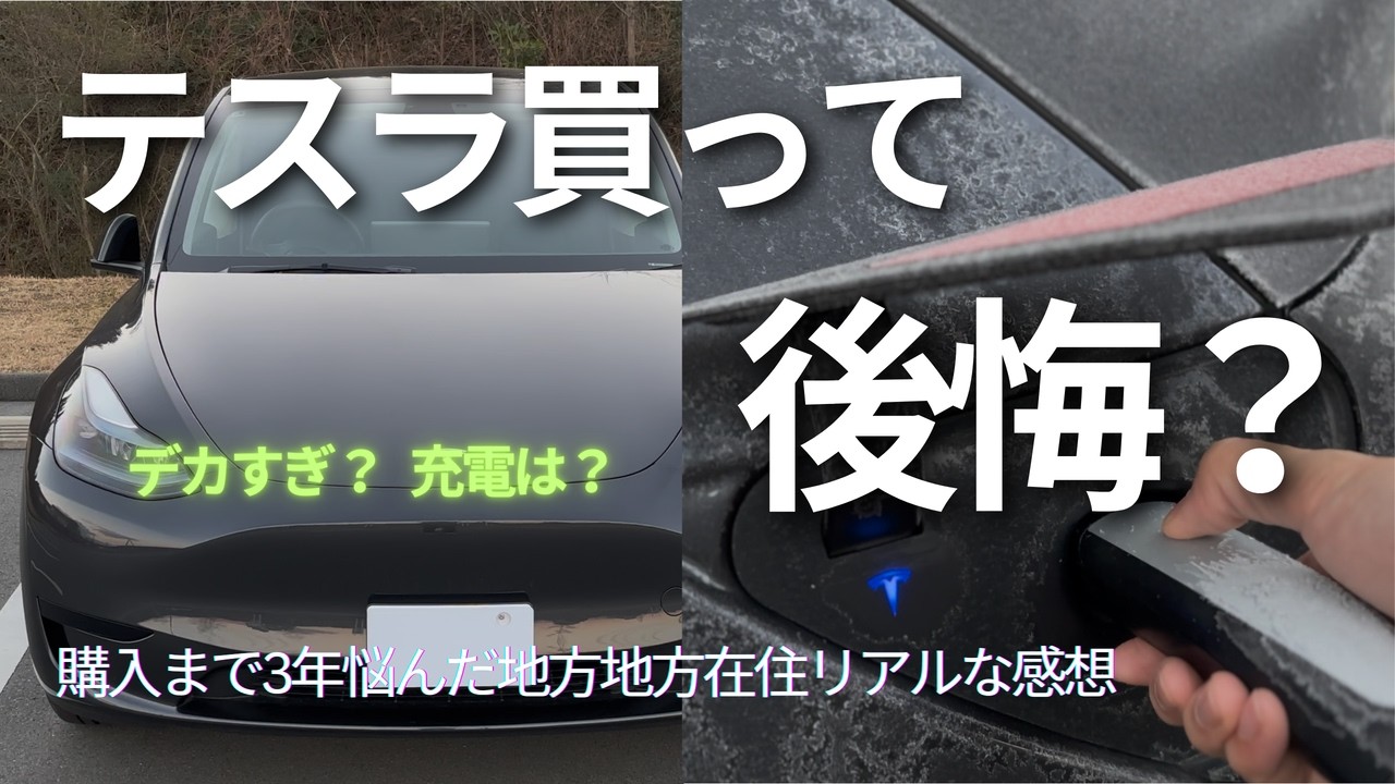 【３つのためらい】3年悩んで購入。テスラのある暮らしは後悔ないのか？正直レビュー！
