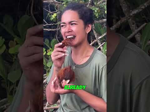 Wild Woman Opens Coconut With TEETH! 😬