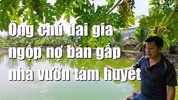 Ông chú lớn tuổi khó khăn cần bán gấp nhà vườn tâm huyết