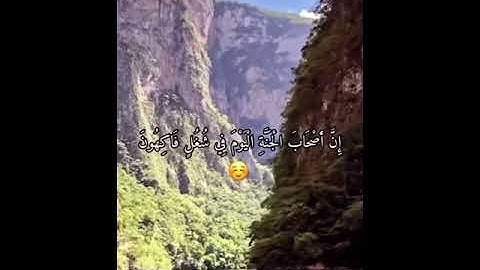 القران الكريم ( سورة يس ) 🌿 بصوت الشيخ احمد العجمي 💖